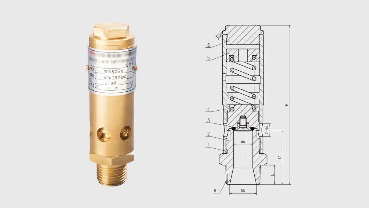 Totally enclosed type, semi-enclosed type, open type safety valve features models and differences