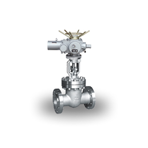 Electric Stainless Steel Gate Valve
