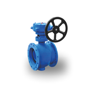 Eccentric Half Ball Valve