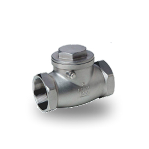 Stainless Steel Small-Bore Check Valve