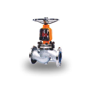 Stainless Steel Oxygen Globe Valve