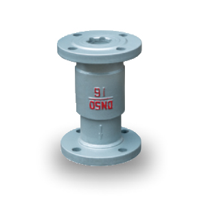 Lie Down And Made The Check Valve