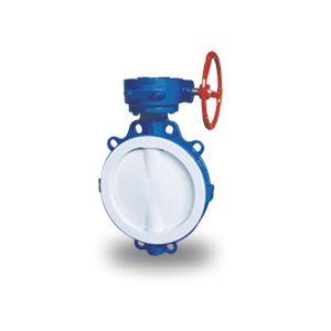 Fluorine Wafer Butterfly Valve
