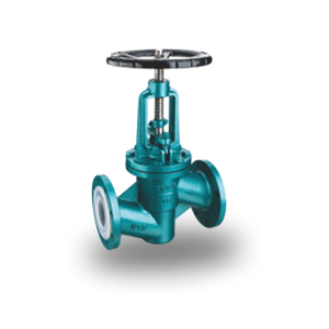 Fluorine Globe Valve