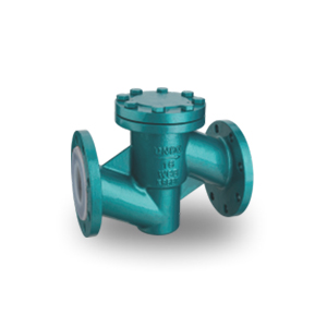 Fluorine Check Valve