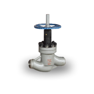 Balanced Use Of Many Globe Valve