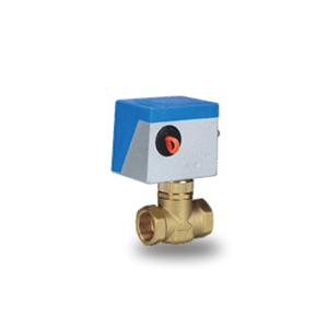 Electric Two Valve