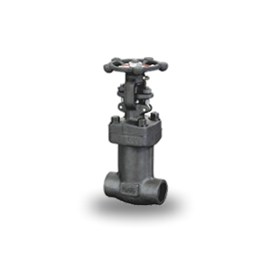 Dalian Type Bellows Globe Valve