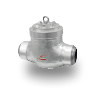 Power Station Check Valve