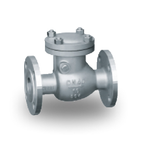 Stainless Steel Swing Check Valve