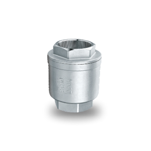 Two Chip Vertical Check Valve Spring