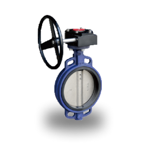 Midline Butterfly Valve