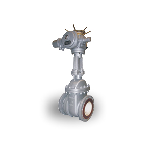 Ceramic Gate Valves