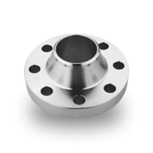 With Neck Butt Weld Ends Flanges