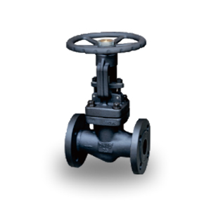 Forged Steel Globe Valves