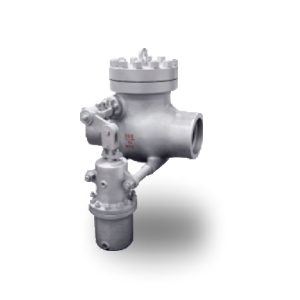 Swing Check Valve