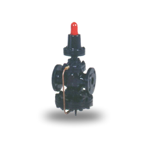 Send Sally G Steam Pressure Reducing Valve