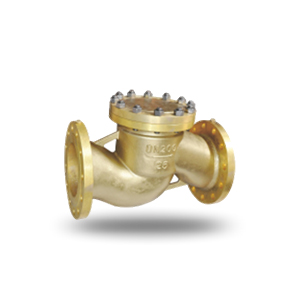 Copper Oxygen Check Valve