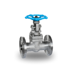 Forged Steel Gate Valve
