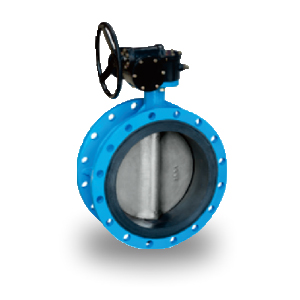 Worm Gear Flanged Buttefly Valve