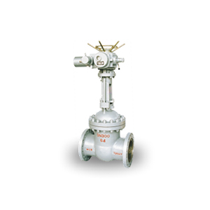 Electric Flange Gate Valves