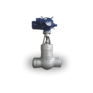 Welding Electric Gate Valves