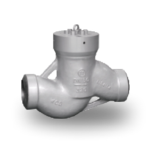 Power Station Check Valve