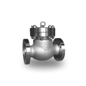 High Pressure Check Valve